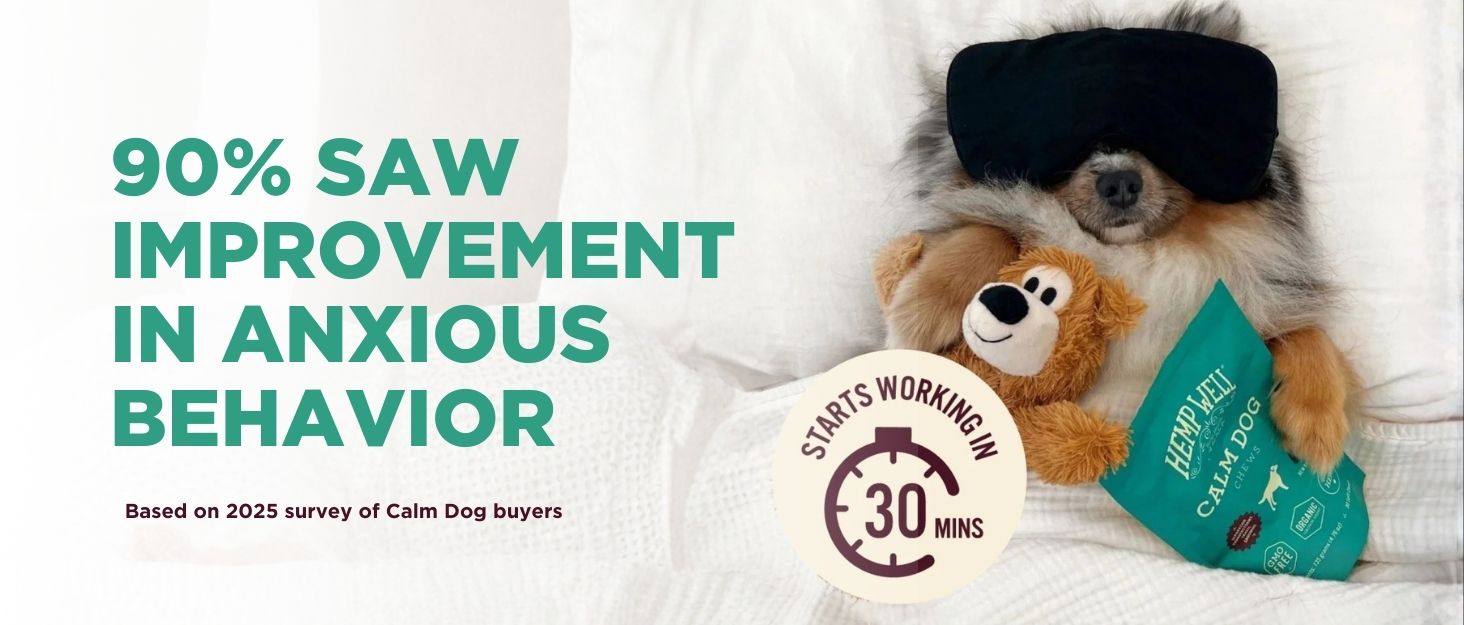 Dog resting with Calm Dog product and 90 percent improvement message